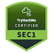 Cyber Security 101 badge